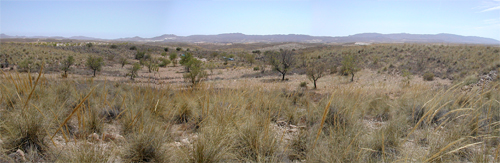 20june073