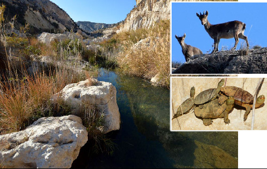 Ecocide is happening in Almeria